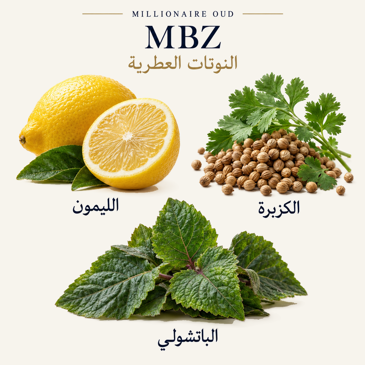 MBZ — النوتات العطرية: الليمون، الكزبرة، الباتشولي