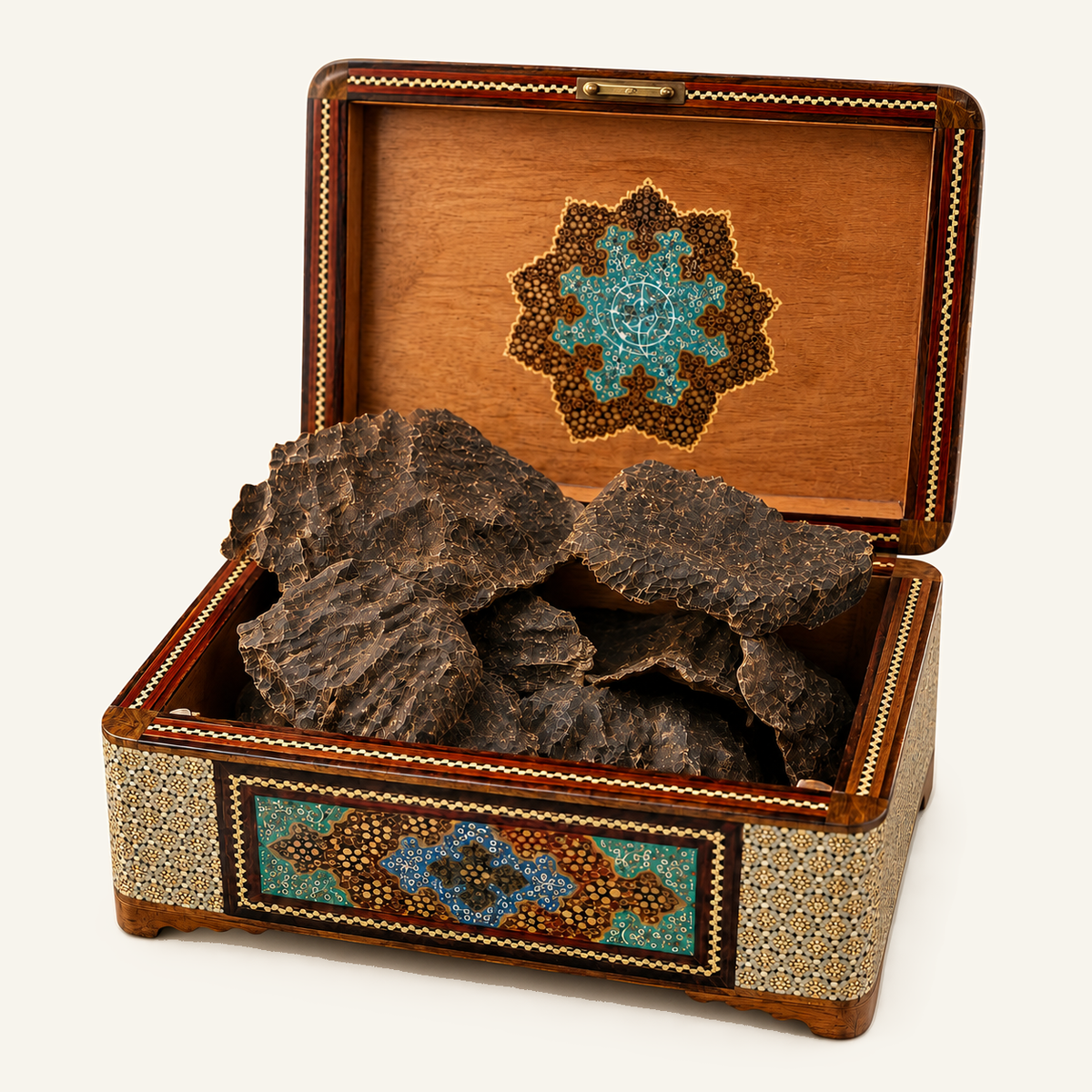 Minbour Forest Char Oud — صورة المنتج بخلفية كريمية