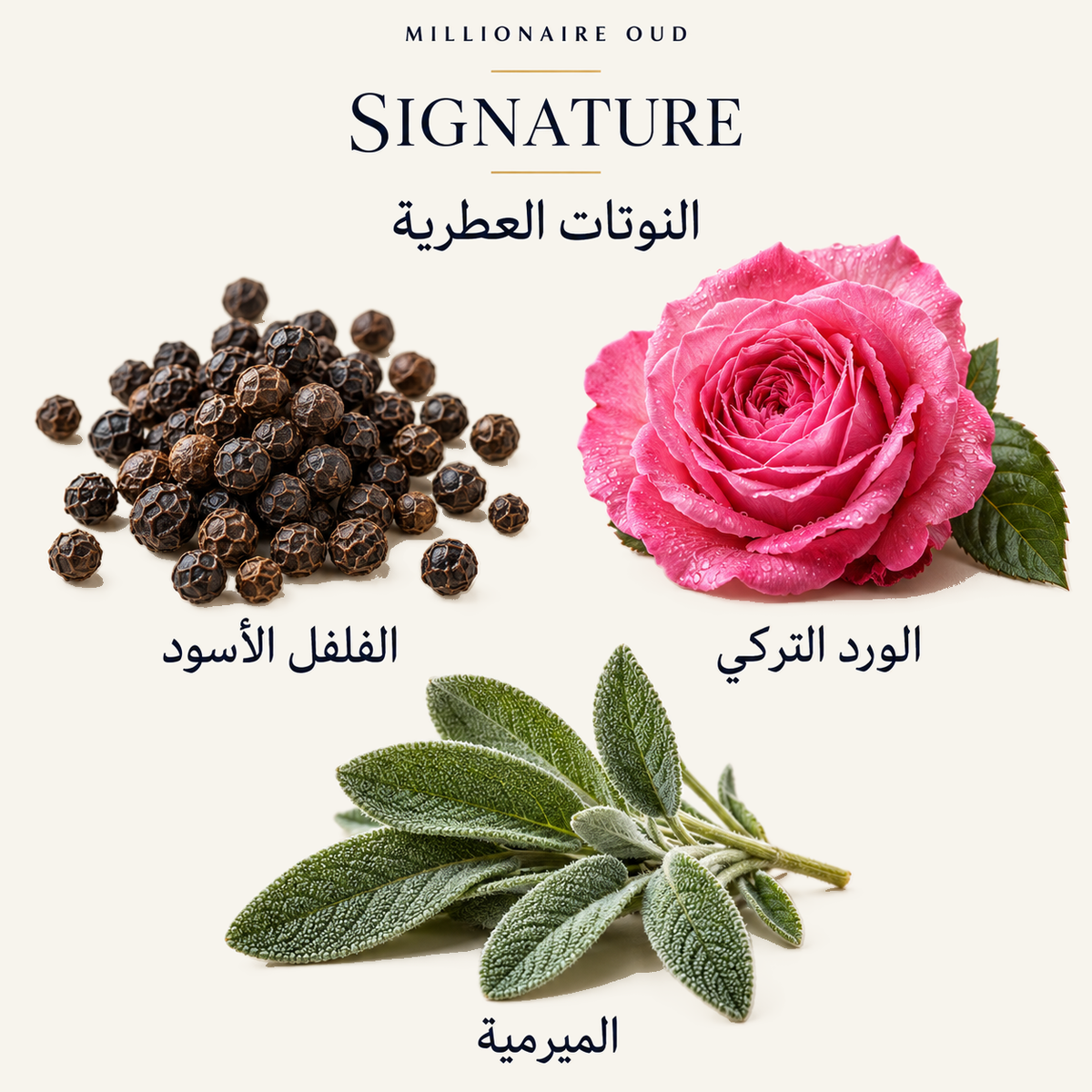 SIGNATURE — النوتات العطرية: الفلفل الأسود، الورد التركي، الميرمية