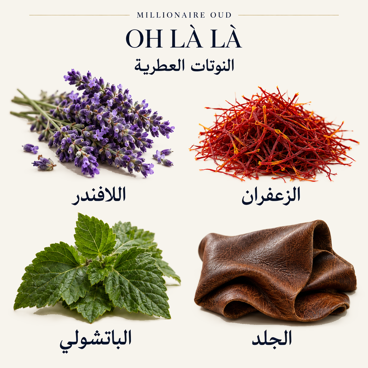 OH LÀ LÀ — النوتات العطرية: اللافندر، الزعفران، الباتشولي، الجلد