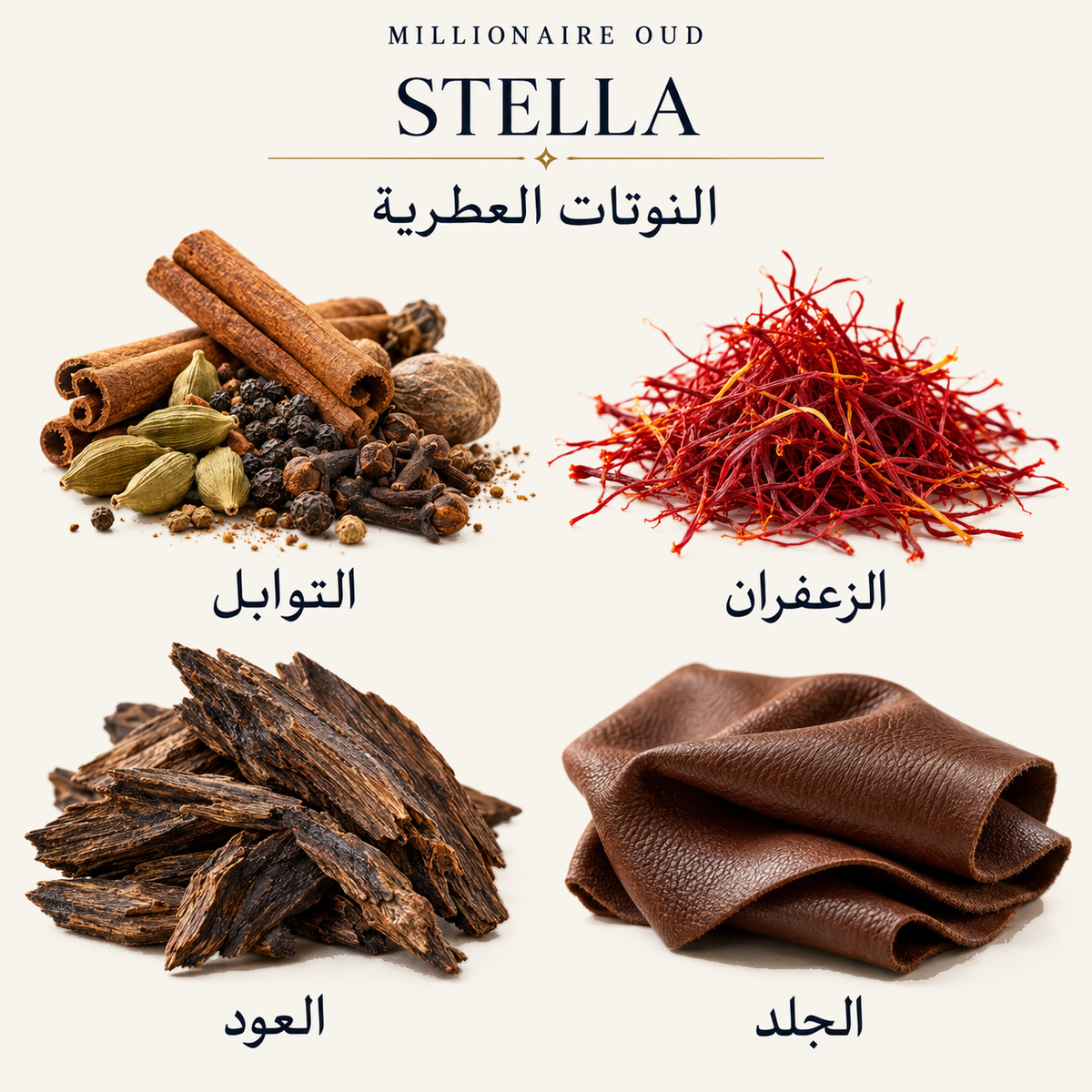 STELLA — النوتات العطرية: التوابل، الزعفران، العود، الجلد
